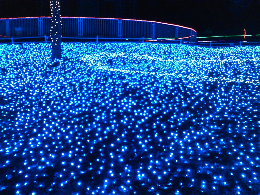 Illuminations of Sagami-Lake Resort Pleasure Forest 1