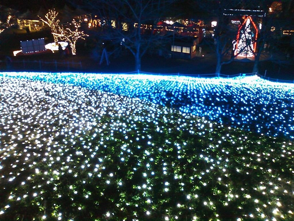 Illuminations of Sagami-Lake Resort Pleasure Forest 2