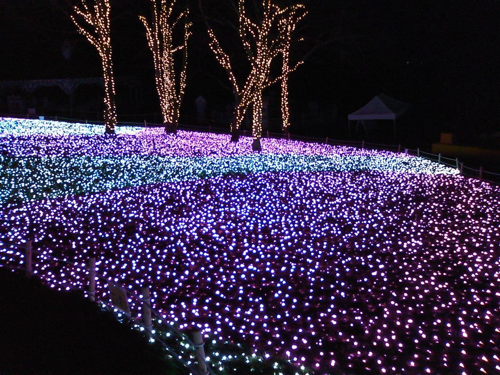 Illuminations of Sagami-Lake Resort Pleasure Forest 3