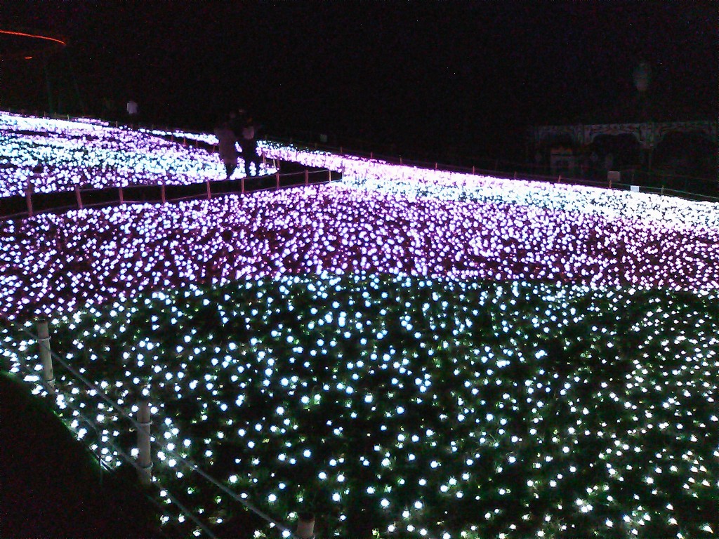 Illuminations of Sagami-Lake Resort Pleasure Forest 4